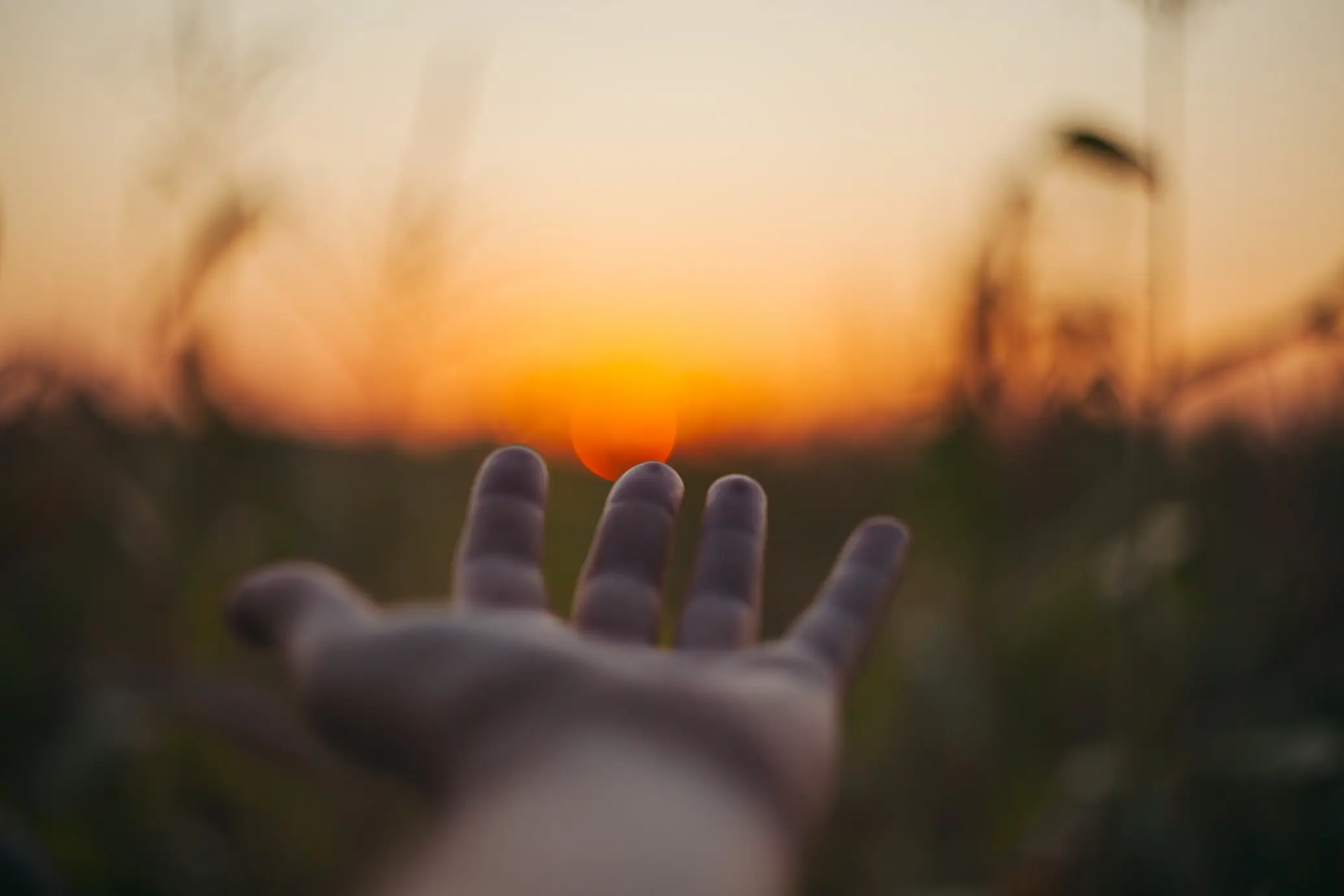 A helping hand